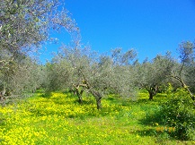 4 raisons de découvrir la Crète au printemps