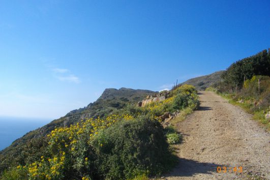 Randonnées et trekking